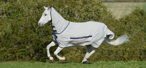 Bucas ekzemerdecke - bucas,