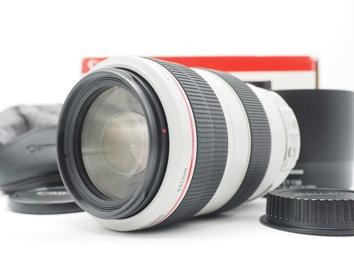 Canon 300mm 5 6 l - f/4-5.6, is