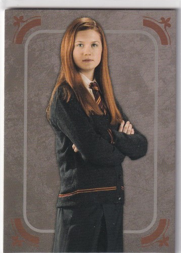 Panini harry potter evolution - panini,
