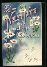Neujahres Gruß mit Margeriten, Ansichtskarte 1901 