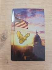 2026 USA Weißkopfseeadler -
