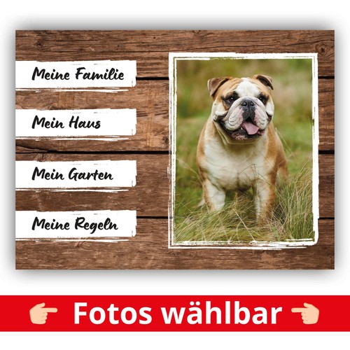 Englische bulldogge schild - englische,