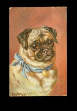 Ansichtskarte Junger Mops mit Blauen Halstuch und Glöckchen gelaufen 1915