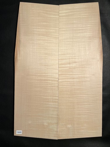 Riegelahorn top tonholz - |, |