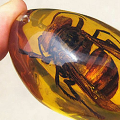 Gelbe bernstein bienen - gelbe,