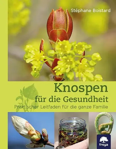 Knospen für die gesundheit - knospen, |