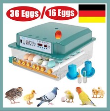 16/36 Eierbrutkasten Inkubator