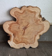 Baumscheibe Holzscheibe DIY