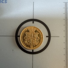 1873 QV Jungkopf Schildrücken