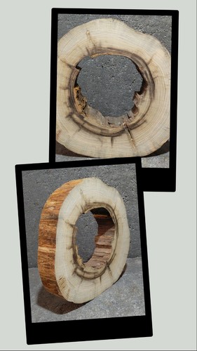 Baumscheibe holzscheibe - baumscheibe,,
