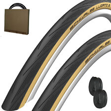 2x Schwalbe Rennrad Retro Reifen Lugano Classic HS471 25-622 m/o Schläuche