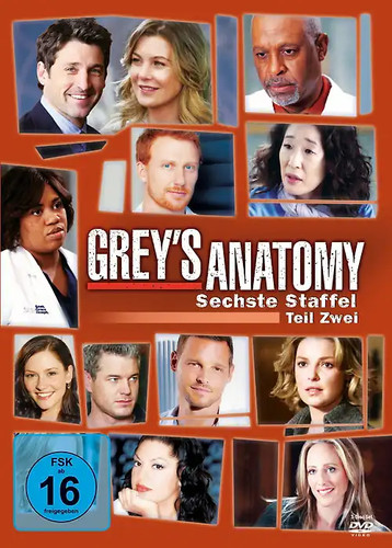 Grey anatomy staffel 6 - grey's,