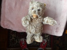 Steiff Teddy Bär ca. 27 cm