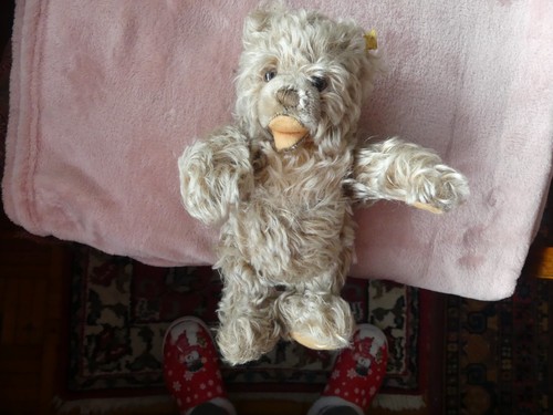 Steiff teddy bär - steiff,