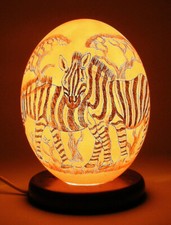 Zebra Straußeneilampe
