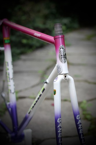 Gazelle champion special - gazelle,