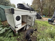 Hundesportanhänger 6 Boxen für Schäferhunde