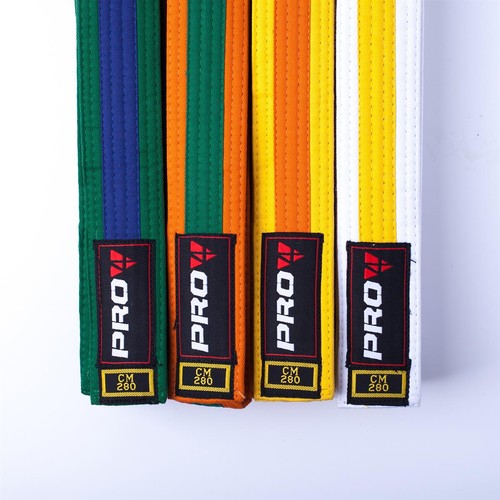 Pro4 budo gürtel zweifarbig - pro4,