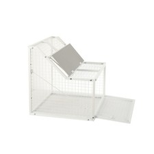 Taubenfalle Taubentaube