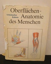 Oberflächen Anatomie des