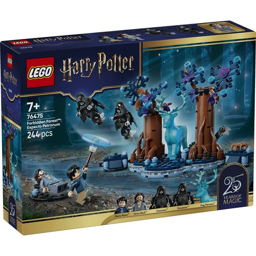Lego harry potter 76475 - harry,