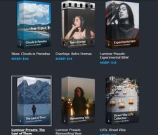 Luminar Neo Presets Bundle Software - bdl (digital download)
