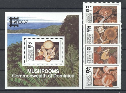 Pilze mushrooms capex - capex,