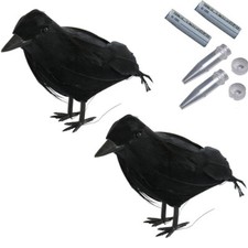 Rabe mit nano vogel - x,