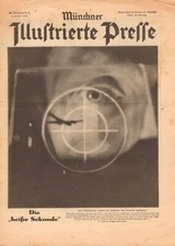 Electronic publication (PDF)