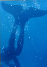 Monoflosse, Prototyp / Unikat von 1987, Sammlerstück!!!