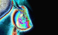 POSTER BILD BILDER XXL POP ART