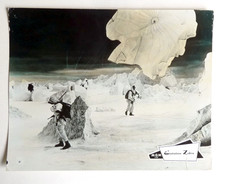 EISSTATION ZEBRA Rock Hudson