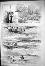 Alter 1880 Newmarket