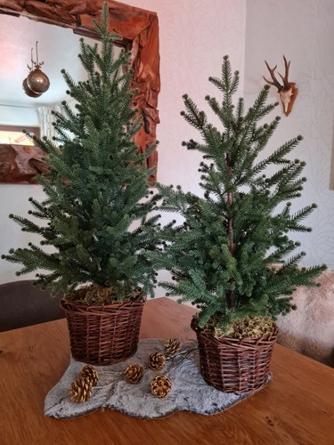 Kunsttanne korb tannenbaum - kunsttanne, im