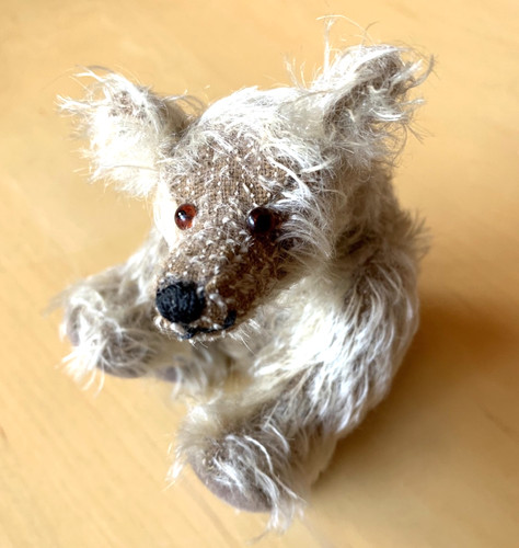 Kuscheliger teddybär - kuscheliger,