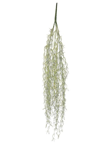 Artplants kunst tillandsia - artplants,