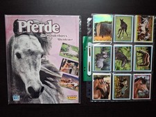 Panini PFERDE - EIN