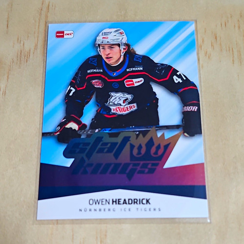 Del eishockey playercard - playercard, stat