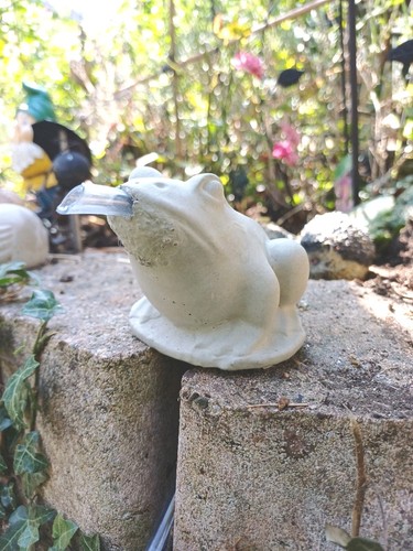 Frosch wasserspeier beton - frosch, für