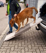 Kunststoff-Rampe für Haustiere, für Auto,LKW oder SUV, 160 x 46,5 x 9,9 cm