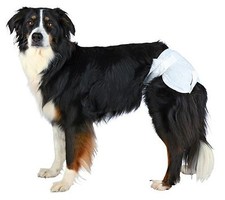Hundewindeln windeln für - hundewindeln,,