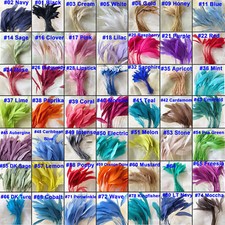 Gestreifte Coque Feder Millinery & Craft Fascinators Hut Feder 5/7" 69 Farben