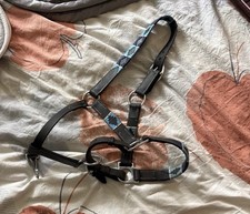 Pony Leder Halfter in