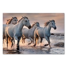 Postereck 3220 Poster Leinwand