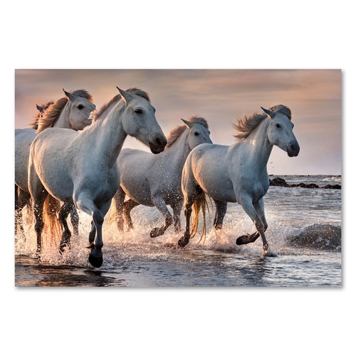 Postereck 3220 poster - 3220,