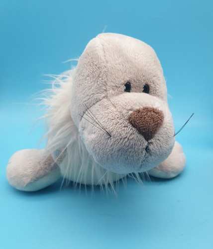 Nici robbe seelöwe seehund - nici,