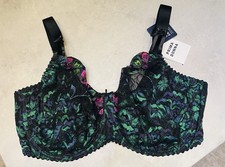 Prima Donna San Angel