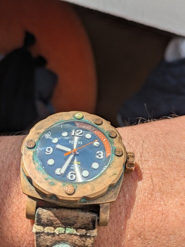 Pontvs marino bronze diver - bronze,
