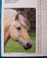 Rar Fjordpferde: 13 neue Postkarten mit Kalender 2005