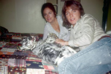 David Cassidy posiert für ein